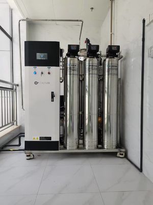 Giá tốt 10L/Hr 20L/Hr Hệ thống thẩm thấu ngược thương mại trực tuyến